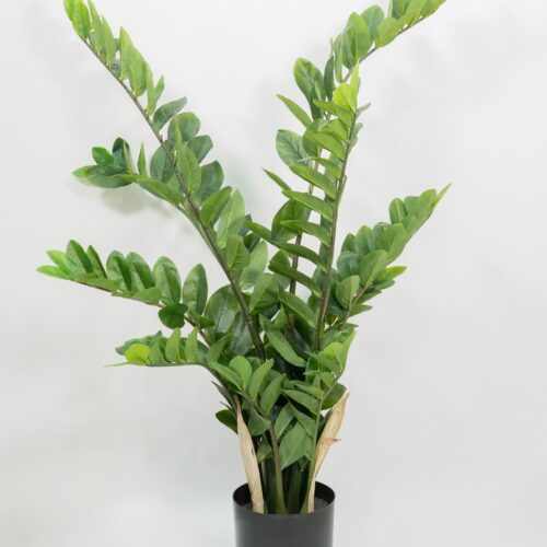 Pianta Artificiale