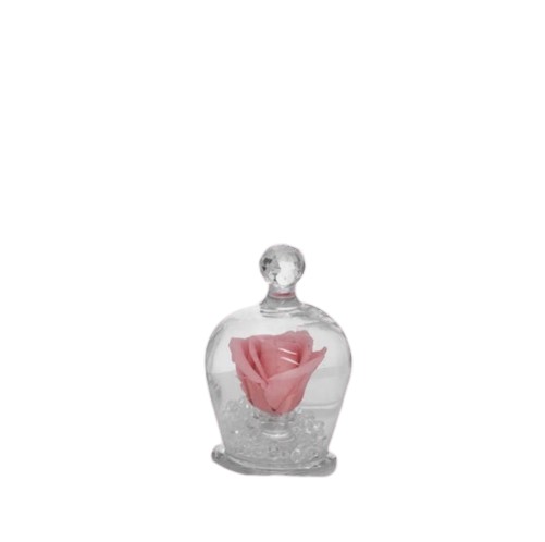 Buba Design - Ampolla Rosa Stabilizzata