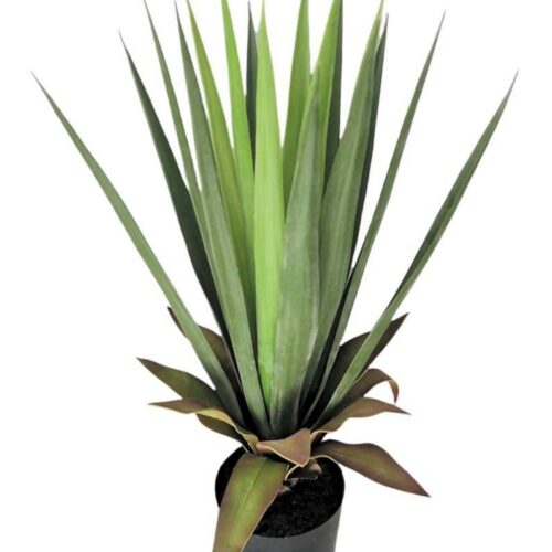 Dracena Artificiale