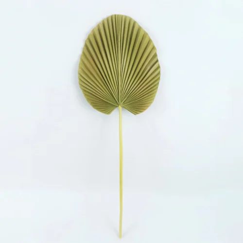 Palm Pu