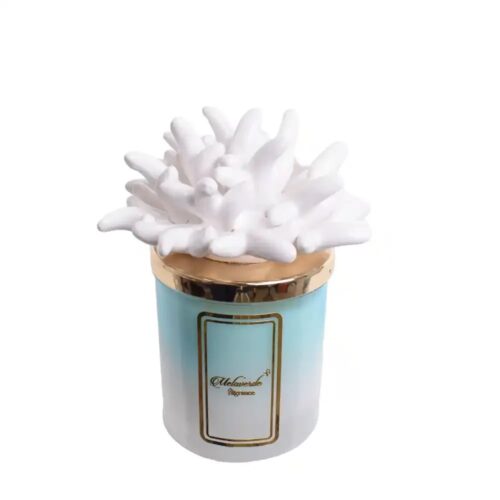 Melaverde – Candela Anemone Sfumata 100g