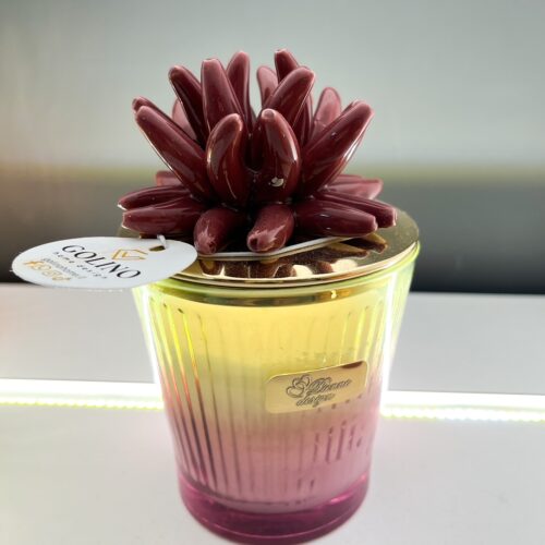 Pienne Design - Candela a Bicchiere con Riccio