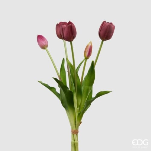 EDG - Tulipani