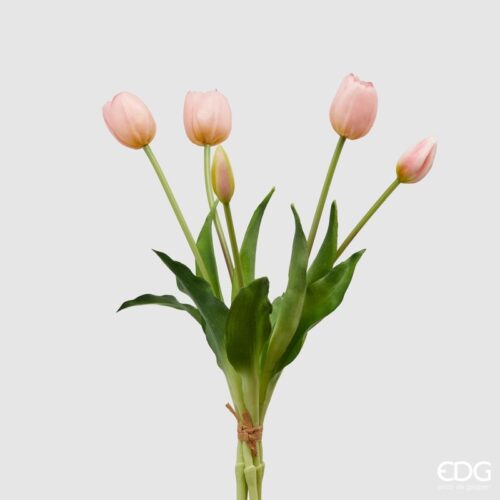 EDG - Tulipani
