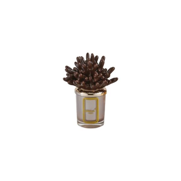 Melaverde - Candela Corallo Marrone 100gr